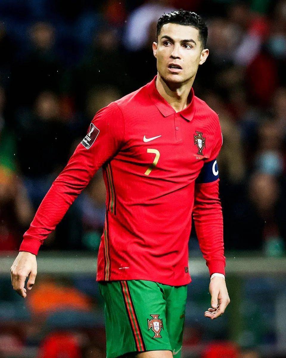 从阵容结构 从阵容结构