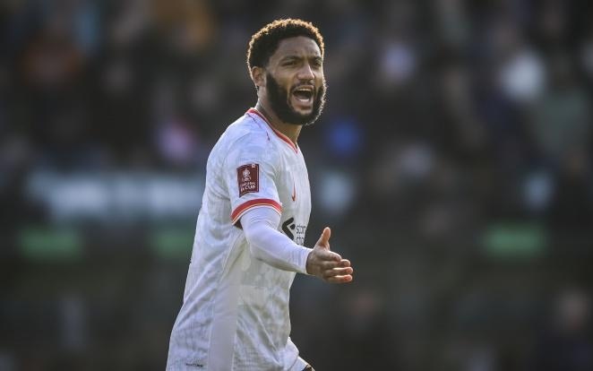 但球队管理 但球队管理